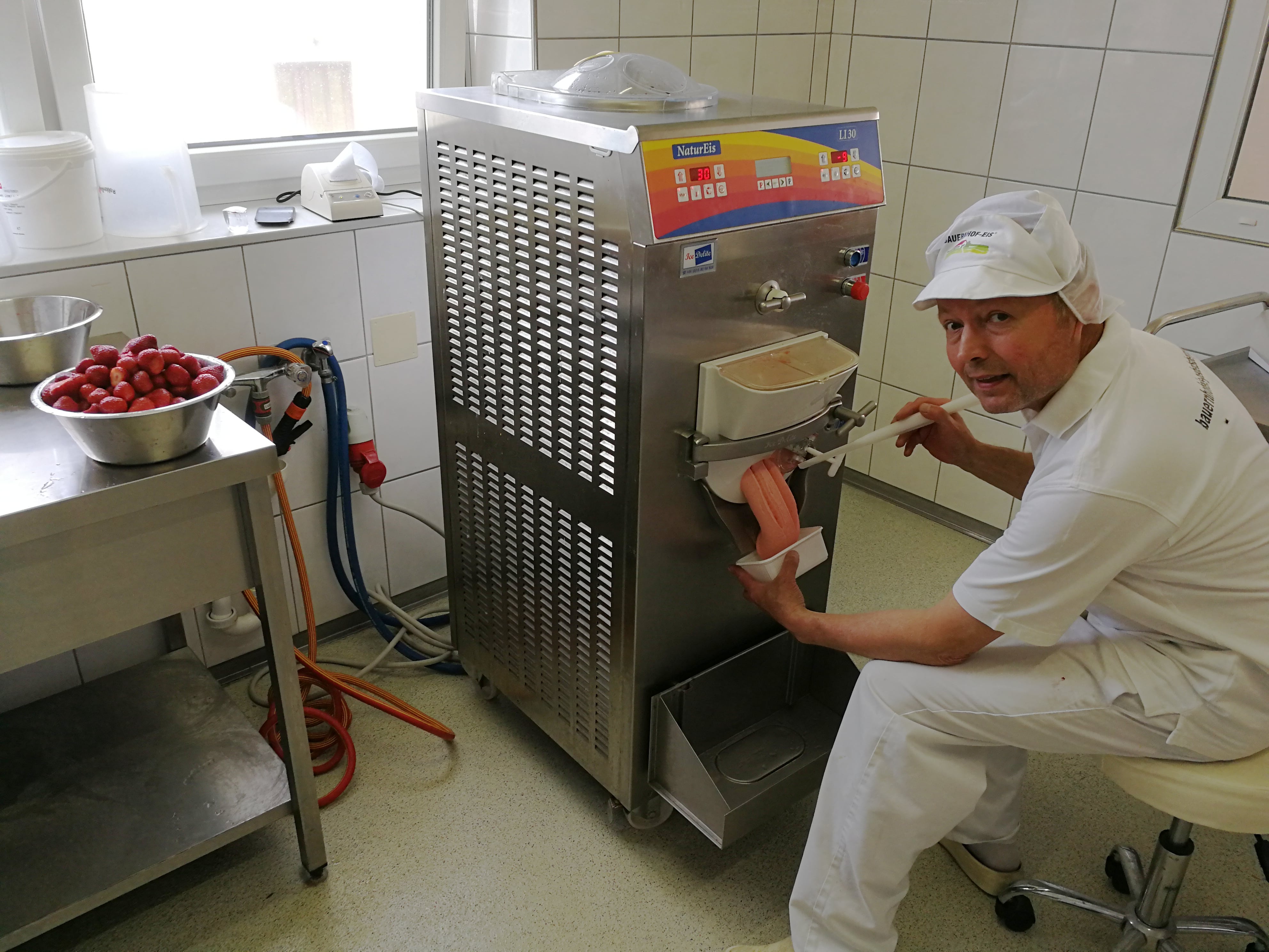 Bauernhofeis Heidelbeere - Joghurt